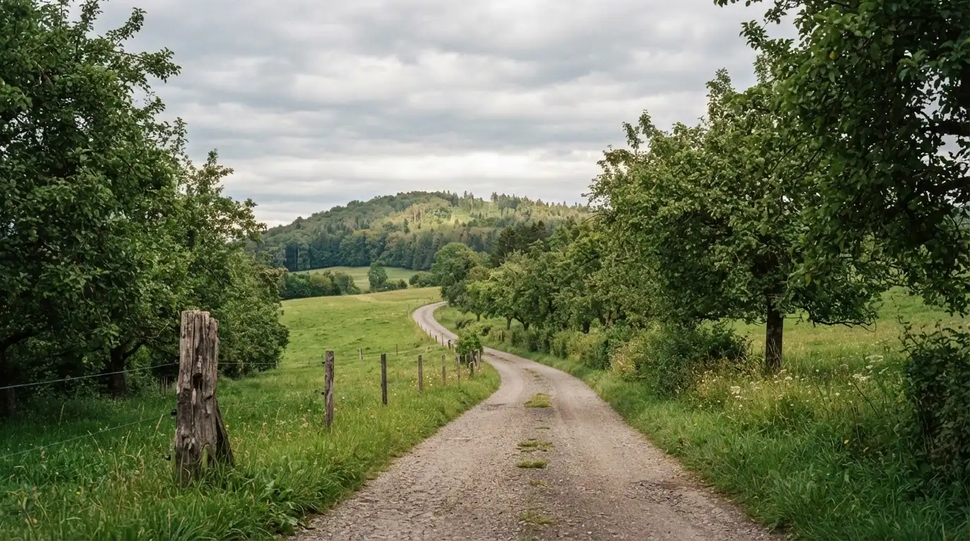 Ein Feldweg führt zwischen Wiesen zu einem Hügel, der Himmel ist bewölkt, am Wegrand stehen Obstbäume.