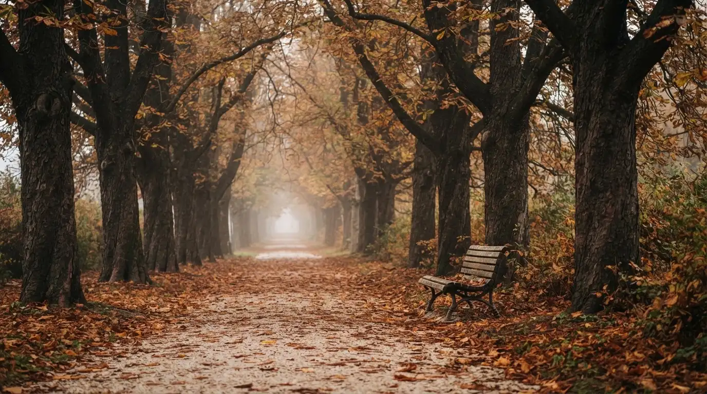 Eine Parkallee mit Kastanienbäumen und einer leeren Bank, Herbstlaub bedeckt den Kiesweg.
